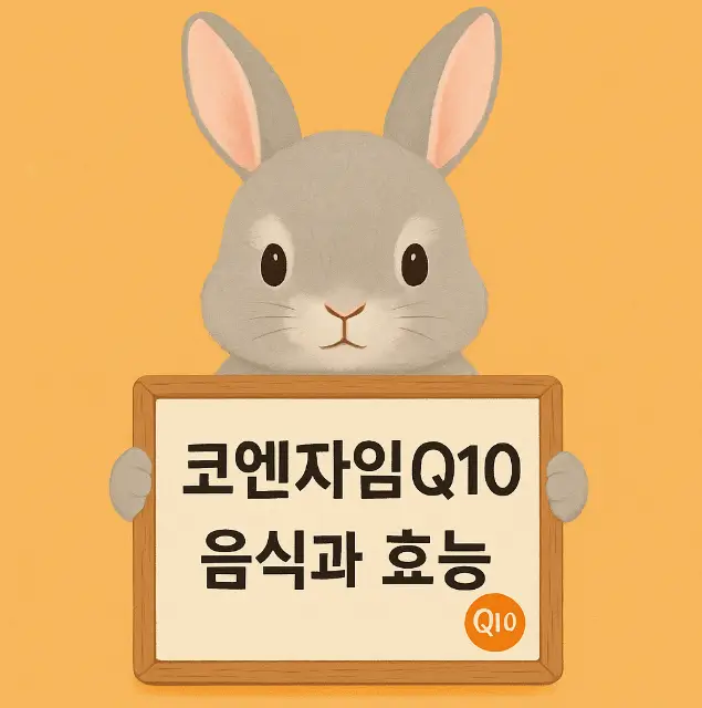 코엔자임Q10이 풍부한 음식과 효능