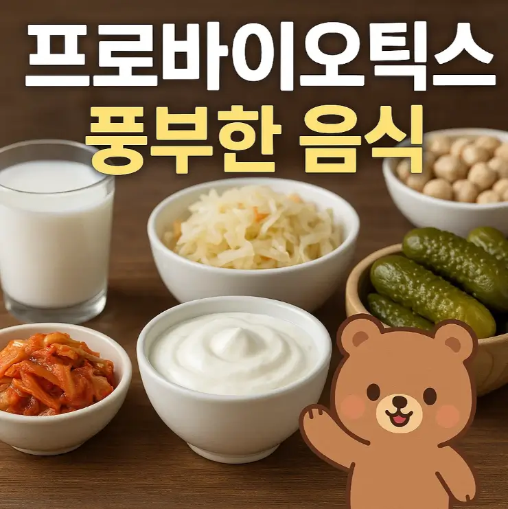 프로바이오틱스 풍부한 음식